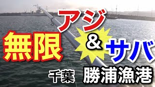 【勝浦漁港】連日真夏日でも外房なら釣れまくる！？夜は悪天候の霧発生でどうなる??🪣‪🎣‬