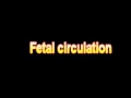 What Is The Definition Of Fetal circulation - Medical Dictionary Free Online