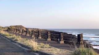 八丈島の夕暮れ時君と2人