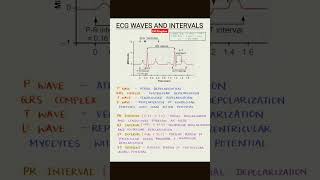 ECG WAVES AND INTERNALS #ECG #ECGWAVES