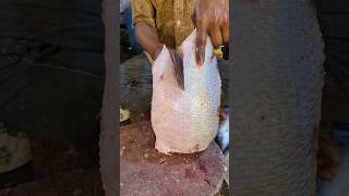 Amazing Big Koral Fish Cutting Skills Live In Fish Market #shorts