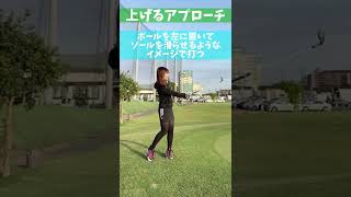 上げるアプローチと転がすアプローチ🏌️‍♀️#ゴルフ #ゴルフ女子 #アプローチ練習 #アプローチ #ゴルフレッスン #ゴルフスイング #練習場 #ゴルフ練習 #ゴルフ上達