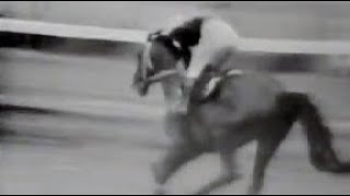 第６回　宝塚記念　シンザン　牡４　59　栗田勝　1965.6.27　　出走馬：バリモスニセイ、パスポート、ハツライオー、ヒカルポーラ、オーヒメ他