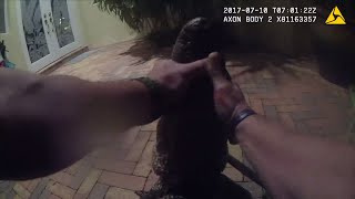 Watch Cop Wrestle With Alligator Trespassing at Homeowner's Front Door