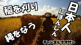 【VLOG】-日本の伝統文化-稲を握る小さな手に日本を伝える。日本の文化はコメ文化。