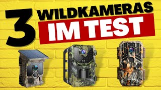 Die BESTEN Wildkameras (2025) - TESTSIEGER im Vergleich!