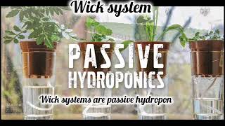 Hydroponics-Soil less cultivation