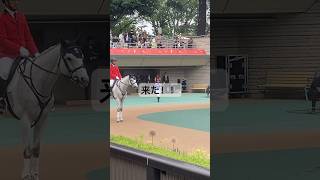 【どうしたの？藤田菜七子騎手】 #東京競馬場 #競馬