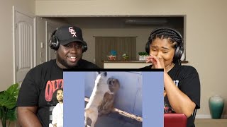 Tony Baker Animal Voiceover pt 13 | Kidd and Cee Reacts