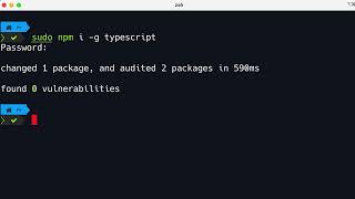The Ultimate TypeScript Course ,3 Setting Up the Development Environment