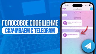 Как скачать голосовое сообщение с Telegram? Сохраняем Голосовые сообщение с Телеграма!