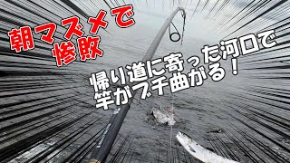 【鮭釣り】朝マズメ惨敗　帰りに寄った河口で竿がブチ曲がる！