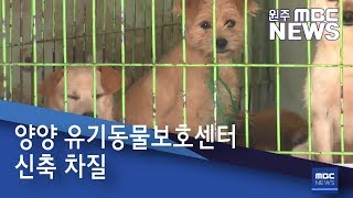 2019. 6. 15 [원주MBC] 양양 유기동물보호센터 신축 차질