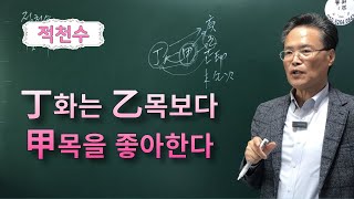 적천수-정화는 을목보다 갑목을 좋아한다.