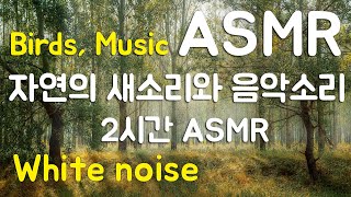 지저귀는 자연의 새소리와 음악소리 2시간 ASMR, 잠잘오는음악소리,깊은수면, 잠잘때 듣는음악