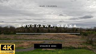 4K TOUR JAPAN//OSAKA, YODOGAWA- The Hunt for Cherry Blossoms