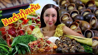 ส้มตำกุ้งเต้นสดๆ หวานๆ หอยโข่งกรุบๆ  แซ่บสุดๆ |กินกับแพทchannel