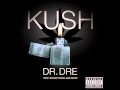 Dr. Dre Ft. Snoop Dogg, Akon & Francisco - Kush (Remix)