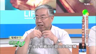 TVBS健康2 0 20150802_1574_4 蟲蟲到處爬疾病跟著來?! 3招不讓蟑螂螞蟻住你家!