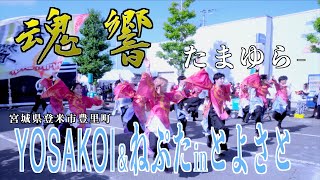 「魂響（たまゆら）」YOSAKOI＆ねぷたinとよさと2023 2023/08/13