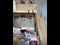 Can be used as a children's playground bunk bed