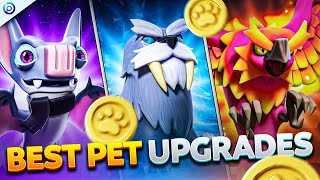 BEST Pet Upgrade Priority Guide | Which Pets to Max First!