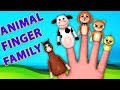 keluarga jari hewan | Animal Finger Family | Baby Box Indonesia | Lagu Anak