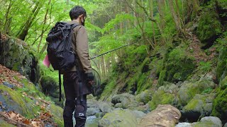 【渓流釣り】天然ヤマメを求めて東京の秘境を釣り歩く