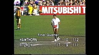 1983 VFL Qualifying Final Hawthorn Vs Fitzroy