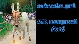 NTR மகாராணி (7.88) - வல்லண்டராம்