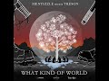 What Kind of World - Mentizzle Meets Tréson - A Positive Journey Muzik Production