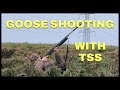 Goose  shooting Using  TSS