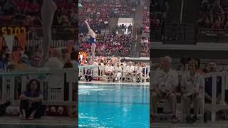 2024 Texas HS State Diving UIL 5A Dive 6: 201b