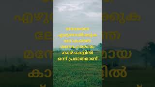 നേരത്തെ എഴുന്നേൽക്കുക ലോകത്തെ മനോഹരമായ കാഴ്ചകളിൽ ഒന്ന് പ്രഭാതമാണ് #shortvideo #morning #music