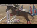 show jumping ritu dahiya horse riding calliber haryana police academy