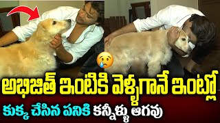 Abhijeet Exclusive Video after Winning Bigg Boss Title || Abhi with his Dog || T M
