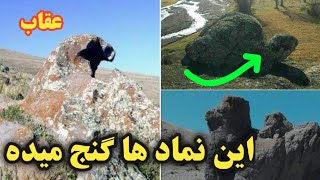 این نماد ها گنج میده بدون شک  / سه نماد مهم در دفینه یابی با عمق کم!!