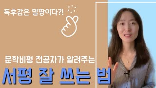 문학비평 전공자가 알려주는 서평쓰기 5원칙  | 자료조사, 요약 등 꿀팁 공개  | 독후감 노하우 | 서평잘쓰는법