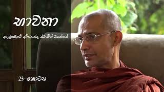 භාවනා |23-කොටස|අගුල්ගමුවේ අරියනන්ද ස්වාමීන් වහන්සේ(Ven:Agulgamuwe Ariyananda Thero)|Bhawana