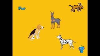 Computational thinking pattern recognition
