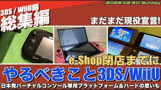 【3DS / WiiU】eShop終了までにやっておきたいこと(3DS・WiiU)、バーチャルコンソール専用ハードの夢をみる