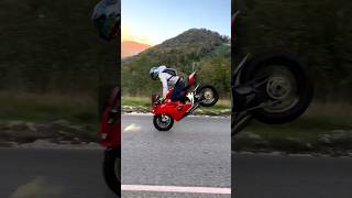 Stoppie On Ducati Panigale V4 🔥 #shorts #youtubeshorts #viral