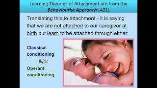 Learning Theory of Attachment for A Level Psychology (AQA)