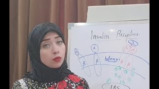 ( Hormone Biochemistry Session 7)Insulin Receptors