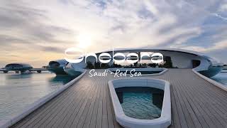 Shebara | Red Sea, Saudi Arabia