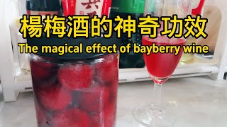 楊梅酒的功效和作用 The efficacy and function of bayberry wine