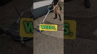 INCREDIBLE DIFFERENCE on this resin bound driveway! #pressurewashing #satisfying #cleaning #asmr