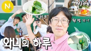 [화니의 하루] 모히또 원정기 / 일상 / 크리에이터 / 모히또 Vlog / 화니의 주방 / 늄냠TV