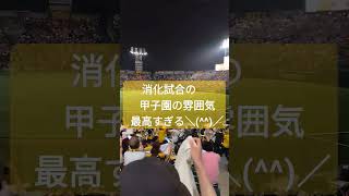 【甲子園の一塁側アルプス】優勝を決めた後の消化試合の甲子園の雰囲気が最高すぎる件ww  #阪神タイガース #甲子園