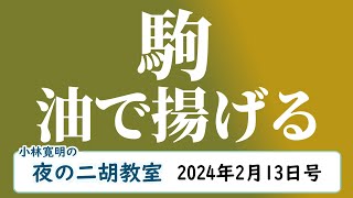 ＜油煎駒＞夜の二胡教室2024年2月13日号